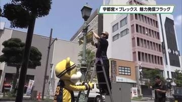 宇都宮ブレックス　フラッグで地元の魅力を伝える
