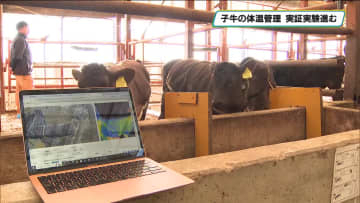 那須町でスマート畜産へ向けた実証実験　サーモカメラで子牛の体温管理
