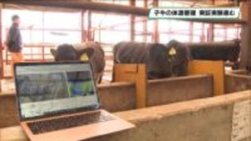 那須町でスマート畜産へ向けた実証実験　サーモカメラで子牛の体温管理