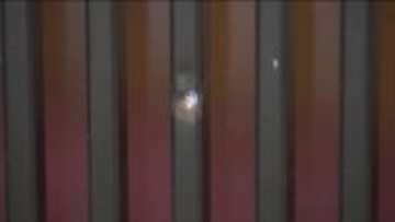 日光市の食品工場でガラス破損被害　犯行ほのめかす男性が被害の店を自ら訪問