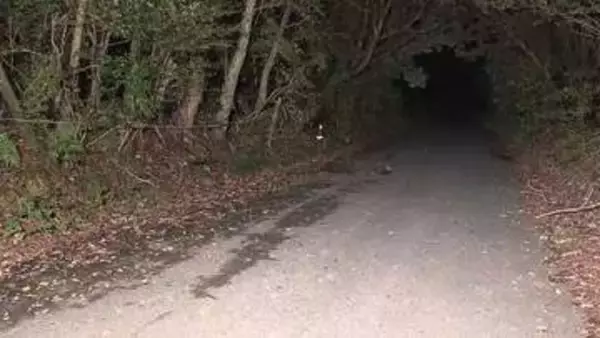 乗っていた車の下敷きになったか…緩やかな坂で軽自動車の前輪に腹など踏まれた71歳男性見つかる 搬送も死亡