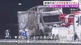 「子供含む6人が死亡…新名神で渋滞の車列に突っ込んだトラック運転手の54歳女「スマホを見ていた」と供述」の画像1
