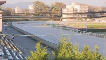 厩務員振り落とし…競馬場のコースから馬が場外に逃走 線路や道路を約1.1km逃げて約5分後に監視員が確保