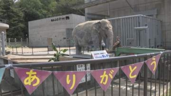 涙を流す人も…アジアゾウ「ふじ子」を偲び感謝を伝える会 去年7月に57歳で死ぬ 岡崎市・東公園動物園