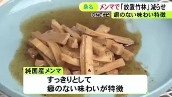 不法投棄などで問題に…“放置竹林”のタケノコを伐採してメンマづくり 三重県桑名市の地元企業が販売予定