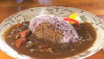 名物は「森のカレー」…秘境にひっそり佇む人気古民家カフェ 都会から集まる多くの常連客たちの“隠れ家”に