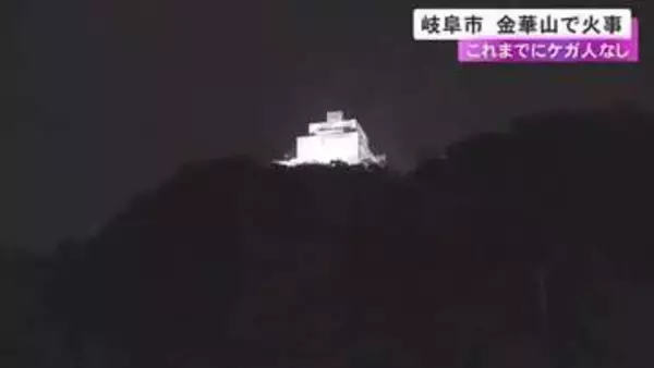南側斜面で火を確認…岐阜市の金華山で火事 延焼の恐れはなくなるも鎮火に向けて消火活動続く ケガ人は確認されず
