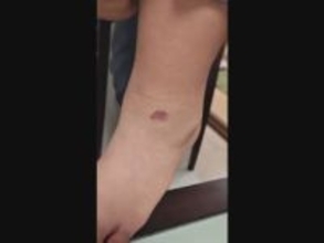 「カス」等の発言も…小学校の女性教師が児童5人に“正座を強要” 約30分にわたった児童は足の皮めくれるケガ