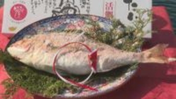 年末年始向けの縁起物…真鯛を丸焼きにした『めでたい焼』作りが最盛期 約2000匹を出荷予定 三重県尾鷲市