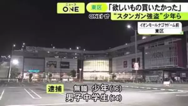 スタンガンで中学生を脅したとされる強盗致傷事件 少年ら4人組のメンバー「欲しい物を買いたくて金を山分け」