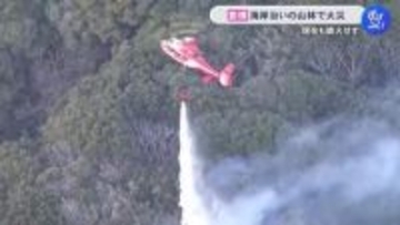 9時間超経過も鎮火に至らず…愛知県豊橋市の海岸沿いの山林で火事 ケガ人などは確認されず 西から東に燃え広がる
