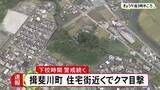 「小中学校の下校時間帯も警戒続く…岐阜県揖斐川町の住宅街近くで『クマ』目撃 役場から約1kmの神社付近」の画像1