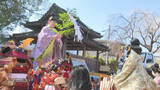 「ひな人形やぬいぐるみなど…三重県の尾鷲神社で『人形供養』朝早くから約500体が持ち込まれ宮司のお祓い受ける」の画像1