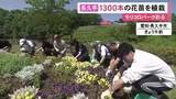 「取り組みを始めて今年で50年…NTP名古屋トヨペットの社員らがモリコロパークに1300本以上の花の苗を植える」の画像1