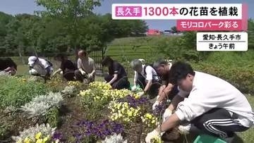 取り組みを始めて今年で50年…NTP名古屋トヨペットの社員らがモリコロパークに1300本以上の花の苗を植える