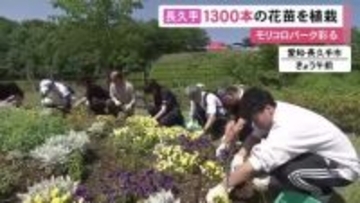 取り組みを始めて今年で50年…NTP名古屋トヨペットの社員らがモリコロパークに1300本以上の花の苗を植える