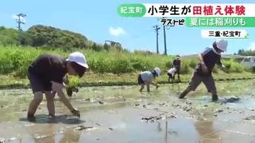 ぬかるむ田んぼに悪戦苦闘…小学生が昔ながらの手作業で田植えを体験 食育の一環で地元農家からコメ作り教わる