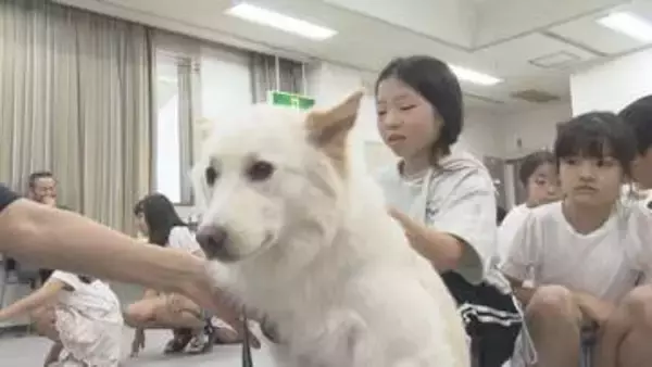捨てた飼い主は“書類送検”も…捨てられた側のペットたちはその後どうなるのか 動物愛護センターで「いのちの教室」