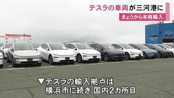 モデルYLなど…EV大手『テスラ』車両の輸入が愛知県の三河港で本格的にスタート 横浜に続く国内2カ所目の拠点