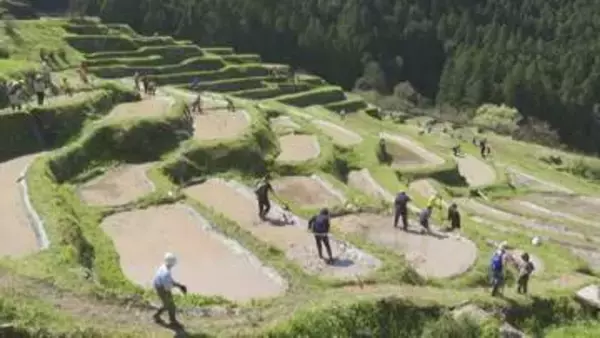泥を塗りつけ水漏れ防ぐ…“日本の棚田100選”の丸山千枚田で畔塗り体験 田んぼのオーナーらが鍬を使って整える