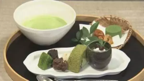 “三河の小京都”とも…新茶の季節を迎えた抹茶の産地・愛知県西尾市 倍量でお湯半分の「濃茶」は至極の一杯