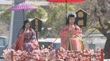 「400年前の嫁入り行列を再現…名古屋で豪華絢爛な『春姫まつり』初代尾張藩主・義直を支えた女性たちに扮して練り歩く」の画像1
