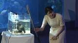 「鳥羽水族館ではラッコ等見学される…愛子さまが2年ぶりとなる三重県ご訪問 交流した高校生「優しくお話しいただいた」」の画像1