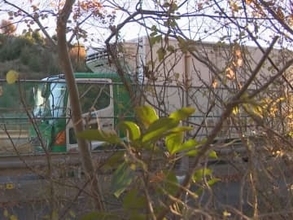 玉突きで衝突か…早朝の東名高速でトラックなど車3台が絡む事故 最初に追突された乗用車の男女2人がケガ