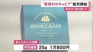 チョウザメの養殖に取り組む…愛知県豊根村の新たな特産品『キャビア』の販売開始 25gで1万800円の特別価格