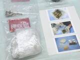「現金約850万円も押収…自宅で大麻を営利目的で所持か ベトナム人の男女2人を逮捕 男の不法残留の疑いで家宅捜索し発覚」の画像1