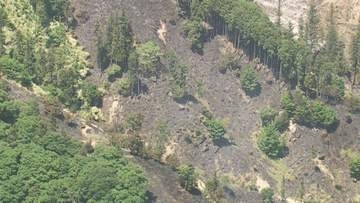 延焼の恐れなくなる…津市美杉町で発生した山火事 ほぼ消し止められ消防が「鎮圧」を発表 鎮火には至らず