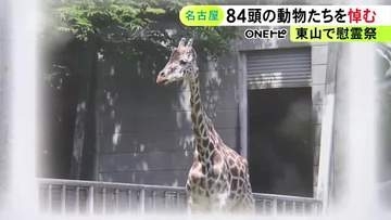 アミメキリンの「トリノ」など…彼岸に合わせて名古屋・東山動植物園で動物たちの慰霊祭 職員や来園者などが参列