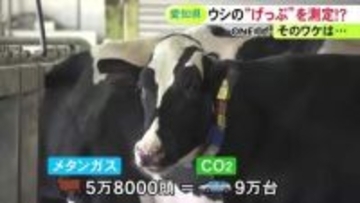 二酸化炭素の28倍の温室効果…“牛のげっぷ”から出るメタンガスの測定器が完成 牛に扮した愛知県知事が意義語る