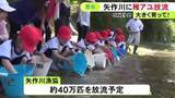 「今年は約40万匹を予定…愛知県豊田市の矢作川で子供達が稚アユを放流 バケツを使って22人で約4000匹」の画像1