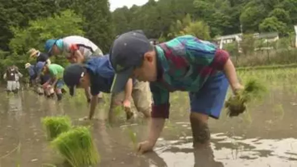 赤とんぼの復活目指し栽培…愛知県豊田市のブランド米『赤とんぼ米』の田植え体験会 県内の10家族が参加