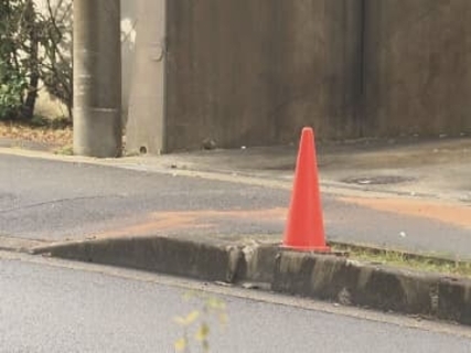 乗っていた高齢者3人死傷…商業施設の駐車場から出た車が住宅の外壁などに衝突 後部座席の96歳女性が死亡