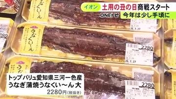 シラスウナギ豊漁で前年比やや安値…土用の丑の日に向けた“うなぎ商戦” イオンでは「ワンハンドうなぎ」等も