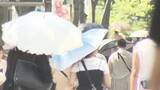 「午前11時半で39.1度の所も…2日の東海3県は酷暑日に迫る危険な暑さ 名古屋などで最高39度予想 3県に熱中症警戒アラート」の画像1