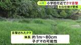 「80cmから1m程の大きさ…小学校近くでクマ1頭の目撃情報 急遽下校から保護者が児童に付き添う 岐阜県山県市」の画像1