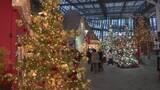 「高さ8mのモミの木など…26本のクリスマスツリーなどが楽しめるフラワーショー デンパークで1/12まで」の画像1