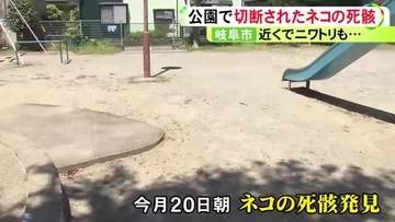 発見者「ここにネコの頭が…」公園と住宅敷地内でネコとニワトリの切断された死骸が相次ぎ見つかる 警察がパトロール強化