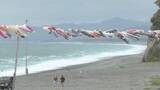 「長さ1kmのロープに取り付ける…三重県熊野市の七里御浜海岸に250匹のこいのぼり こどもの日の5/5まで」の画像1