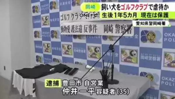 飼い犬をゴルフクラブで殴り虐待か 35歳自営業の男を逮捕 犬は生後1年5カ月のラブラドール・レトリバー
