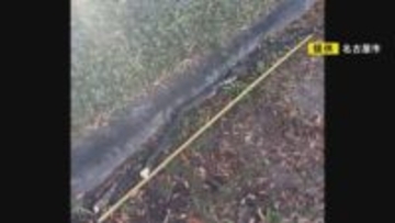 伐採にはジレンマも…「都心の緑ある憩いの場」でケヤキの枝が落下し小学生2人がケガ “枯れて数年経過”か