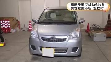 横断歩道を渡っていたベトナム国籍の男性が軽自動車にはねられ意識不明の重体 運転していた85歳男を現行犯逮捕