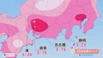 満開は3月末ごろの見通し…名古屋の桜の開花予想は19日 鶴舞公園では所々で花びらのぞかせるつぼみも