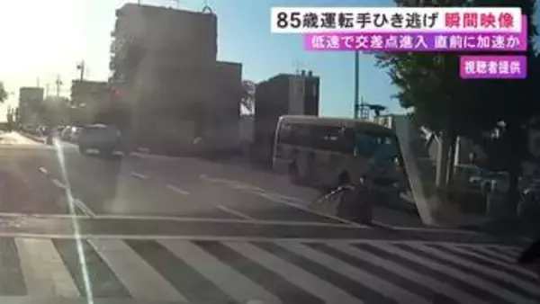 2人がひき逃げされ死亡…85歳男が送迎バスで事故を起こすまでの一部始終を捉えた映像 歩行者行き交う横断歩道で加速か