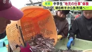 マグロ出荷や消防での訓練など…三重県尾鷲市で中学生が“地元の仕事”の職場体験 マナー習得や将来の選択を見据え実施