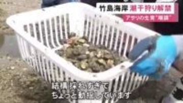 熊手で掘ると次々顔出す…愛知県蒲郡市の竹島海岸で潮干狩りが解禁 毎年3万人余りが訪れる人気スポット