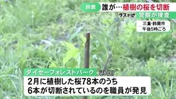 今年2月に植えられたばかり…公園で桜の木6本が切断される被害 鋭利な物を使って犯行か